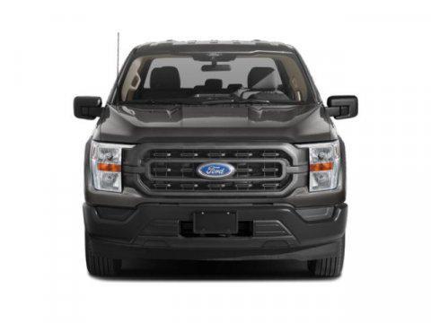 new 2023 Ford F-150 car