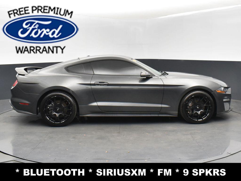 used 2019 Ford Mustang car, priced at $18,999