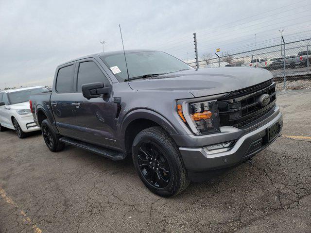 used 2023 Ford F-150 car