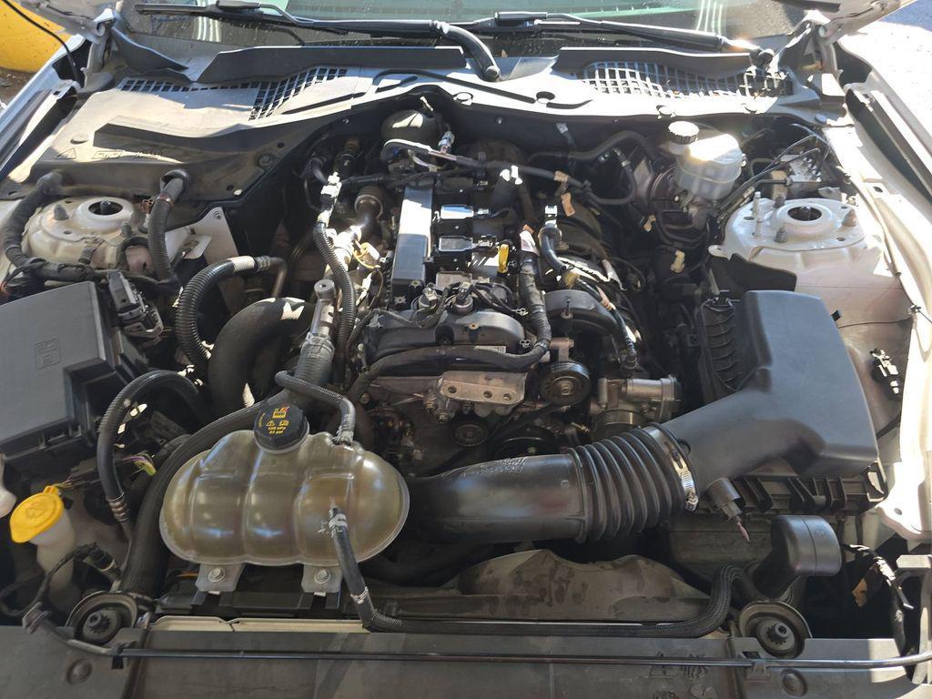 used 2019 Ford Mustang car, priced at $14,999