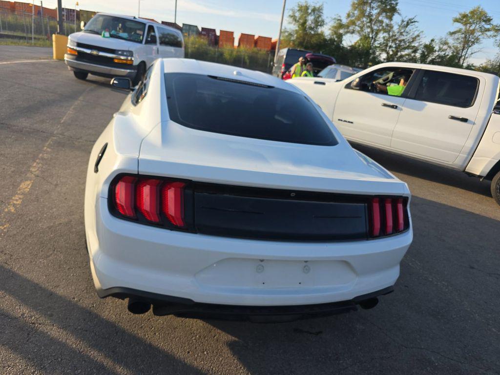 used 2019 Ford Mustang car, priced at $14,999