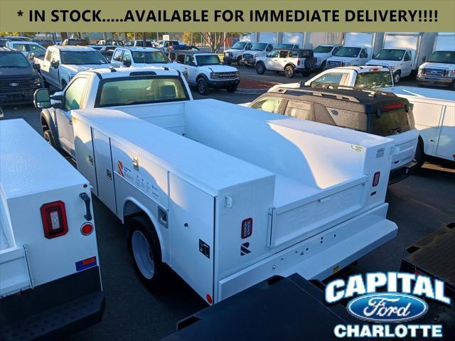 new 2024 Ford F-450 car, priced at $75,699