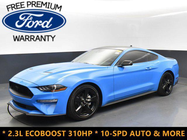 used 2022 Ford Mustang car