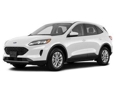 used 2020 Ford Escape car, priced at $14,499
