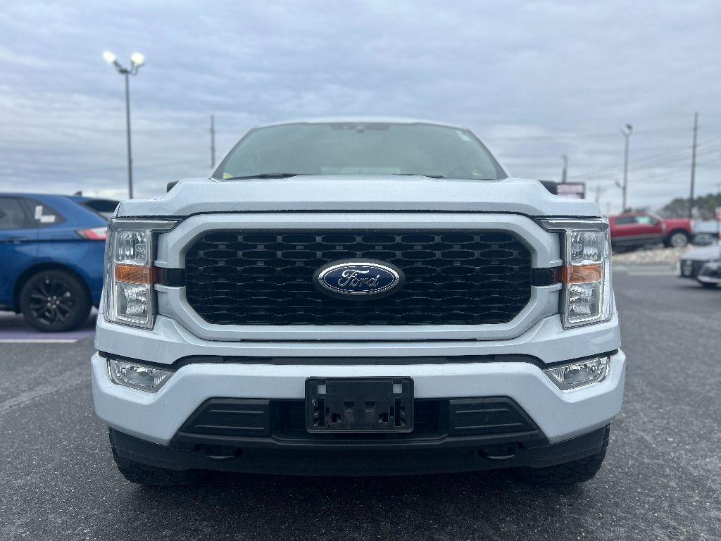 used 2021 Ford F-150 car, priced at $31,905