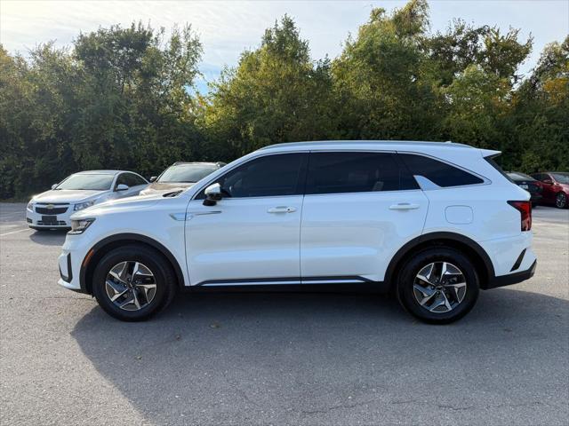 used 2022 Kia Sorento Hybrid car, priced at $28,189