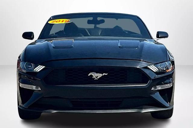 used 2019 Ford Mustang car, priced at $20,141