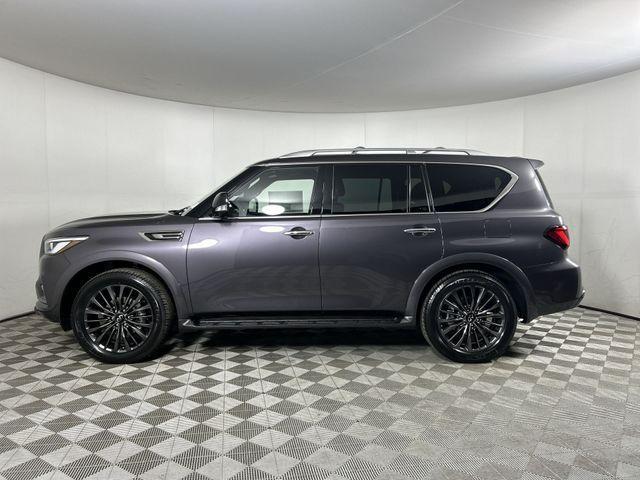 new 2024 INFINITI QX80 car, priced at $73,995