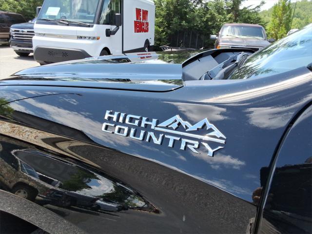 new 2025 Chevrolet Silverado 1500 car, priced at $72,604