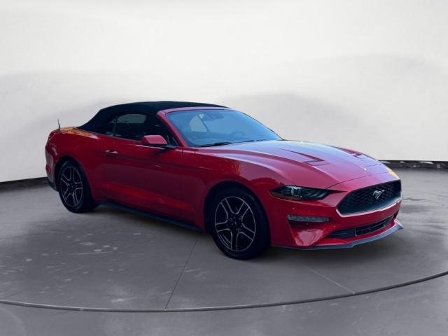 used 2022 Ford Mustang car, priced at $22,395