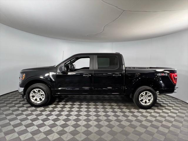 used 2023 Ford F-150 car, priced at $39,000