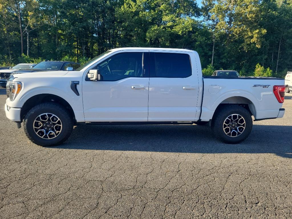 used 2023 Ford F-150 car, priced at $45,995