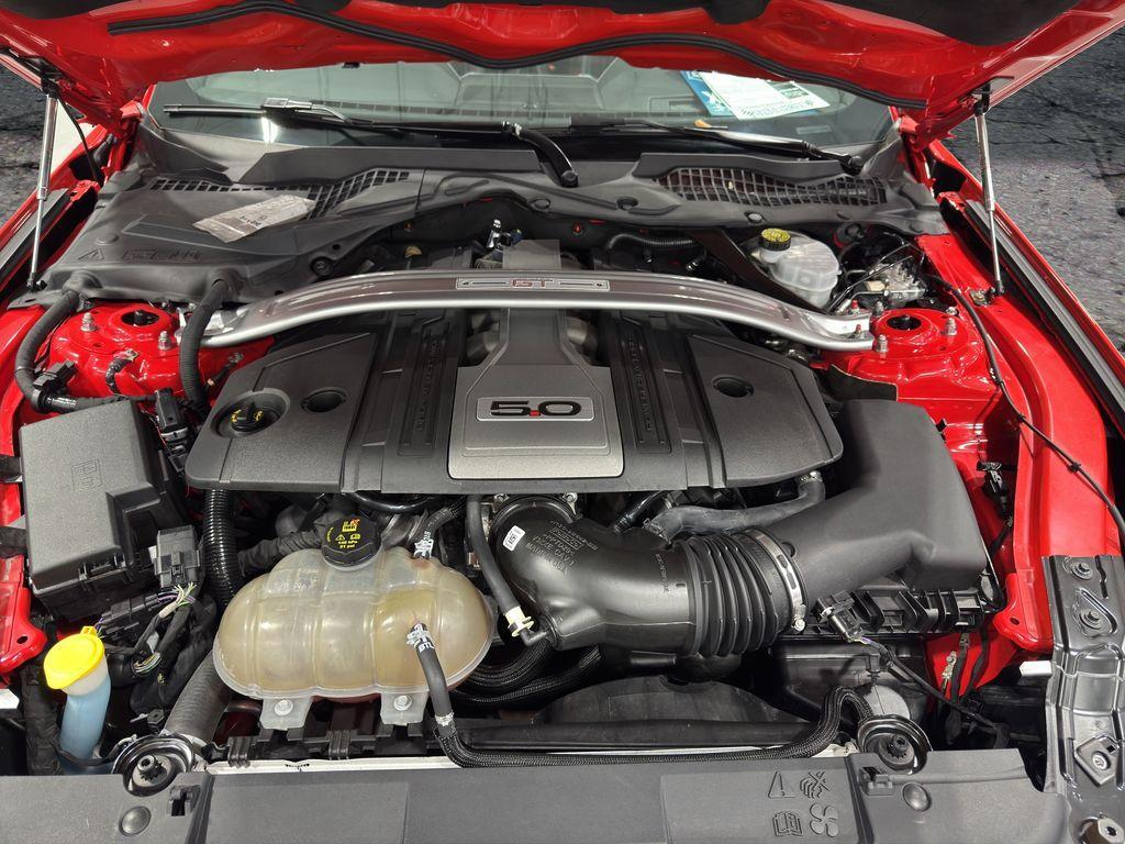 used 2019 Ford Mustang car, priced at $39,969