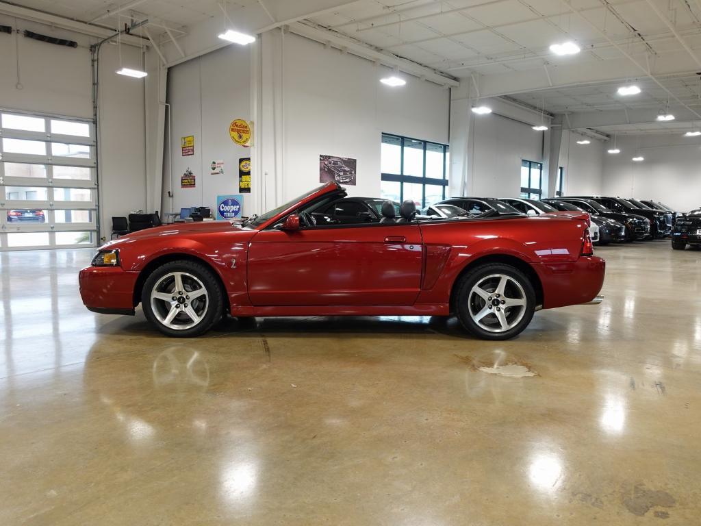 used 2003 Ford Mustang car, priced at $38,000