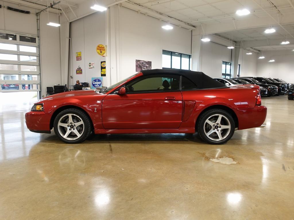 used 2003 Ford Mustang car, priced at $38,000