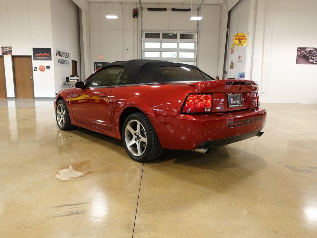 used 2003 Ford Mustang car, priced at $38,000