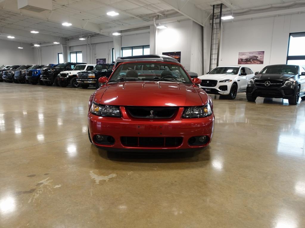 used 2003 Ford Mustang car, priced at $38,000