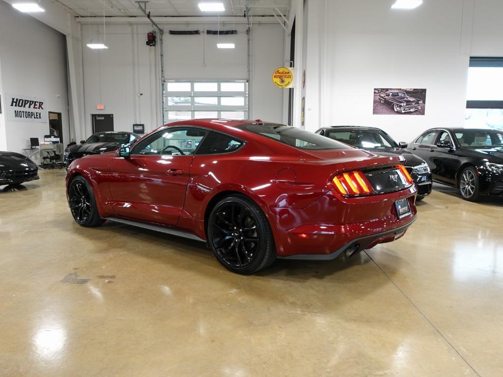 used 2016 Ford Mustang car, priced at $19,000