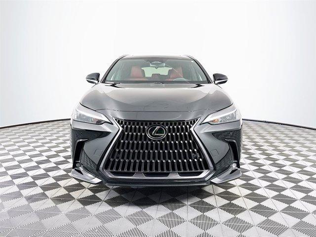 used 2025 Lexus NX 350 car, priced at $49,566