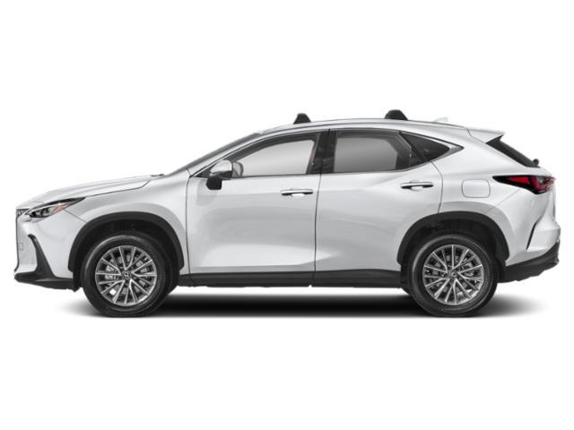new 2025 Lexus NX 350 car