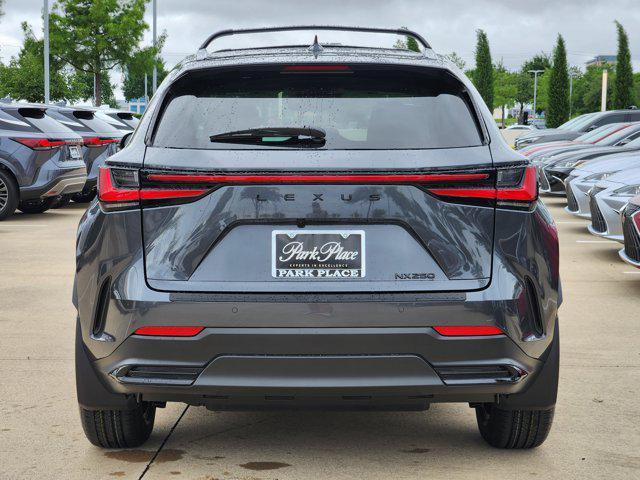 new 2025 Lexus NX 250 car
