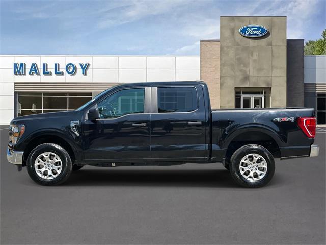 used 2023 Ford F-150 car, priced at $36,995