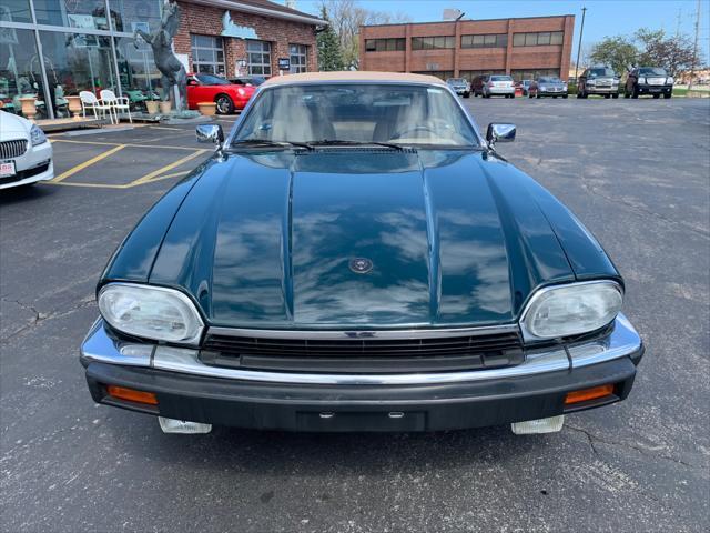 used 1993 Jaguar XJS car