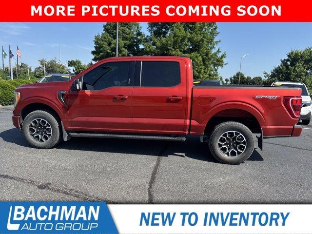 used 2023 Ford F-150 car, priced at $43,755