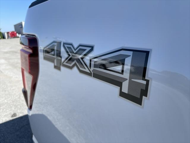 new 2024 Ford F-150 car