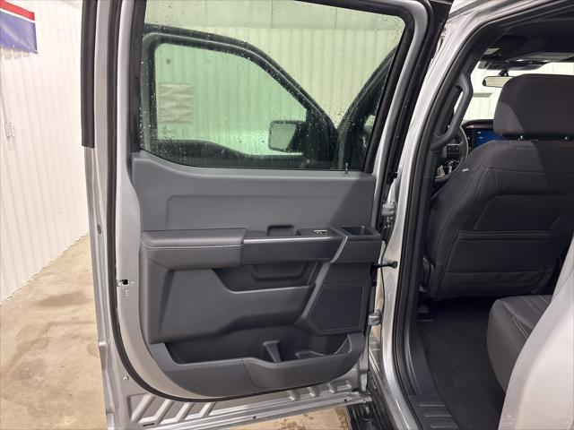 new 2025 Ford F-150 car