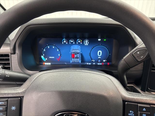 new 2025 Ford F-150 car