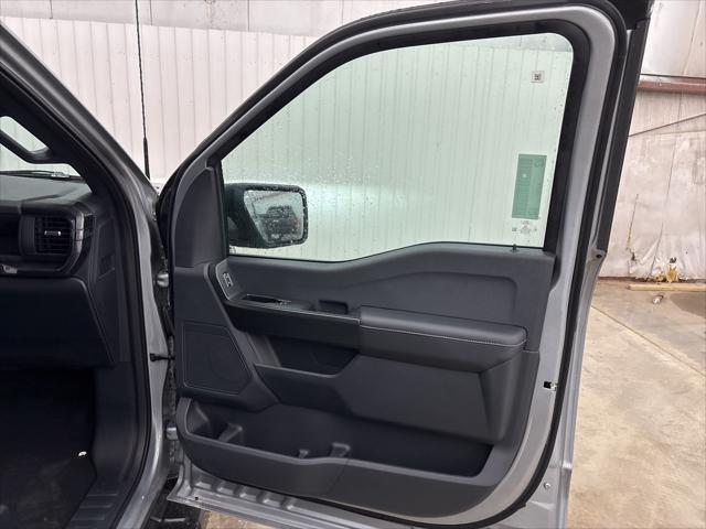 new 2025 Ford F-150 car