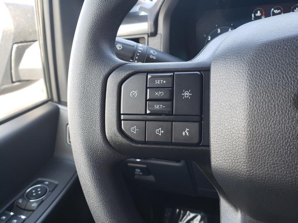 new 2025 Ford F-150 car, priced at $49,100