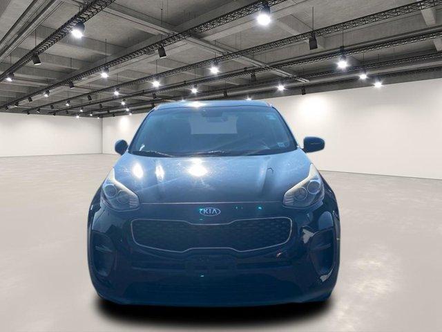 used 2017 Kia Sportage car, priced at $12,000