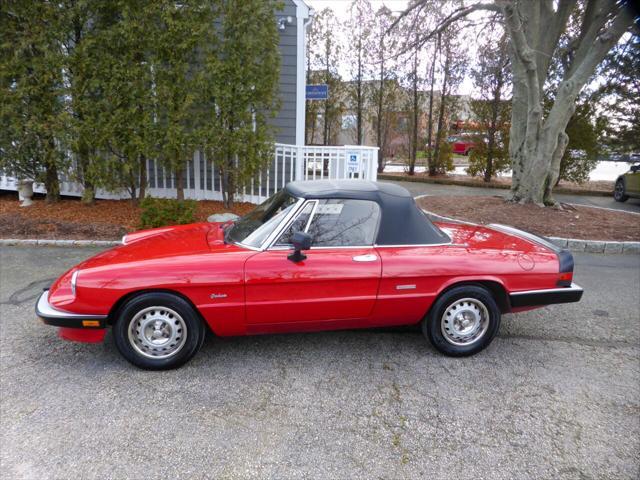 used 1986 Alfa Romeo Spider car, priced at $13,750