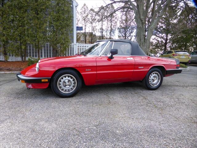 used 1986 Alfa Romeo Spider car, priced at $13,750