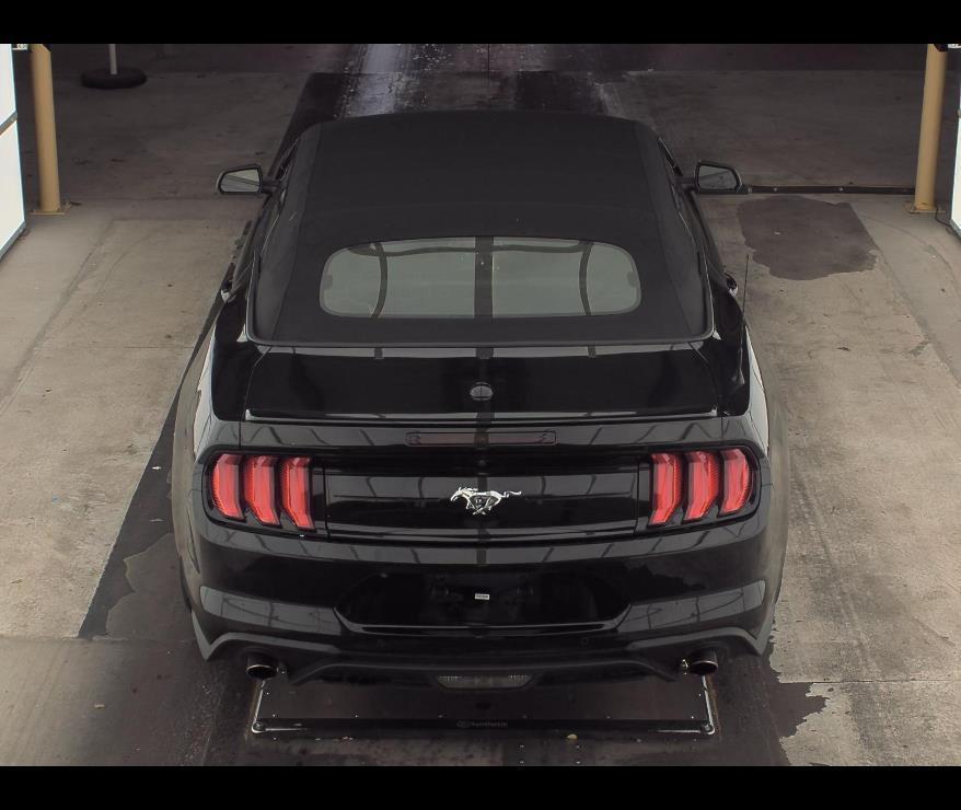used 2022 Ford Mustang car, priced at $24,000