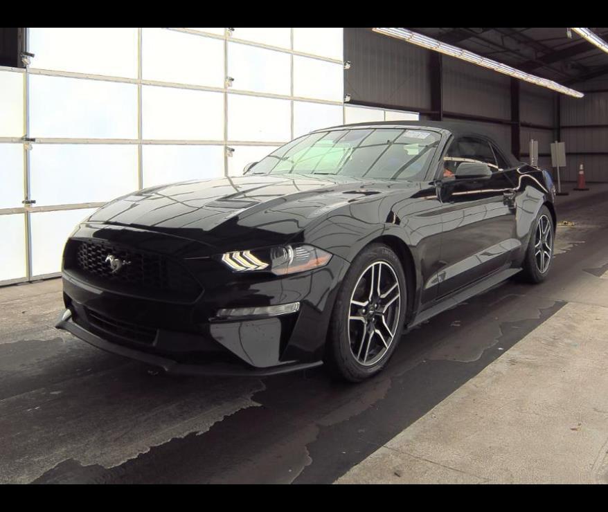 used 2022 Ford Mustang car, priced at $24,000
