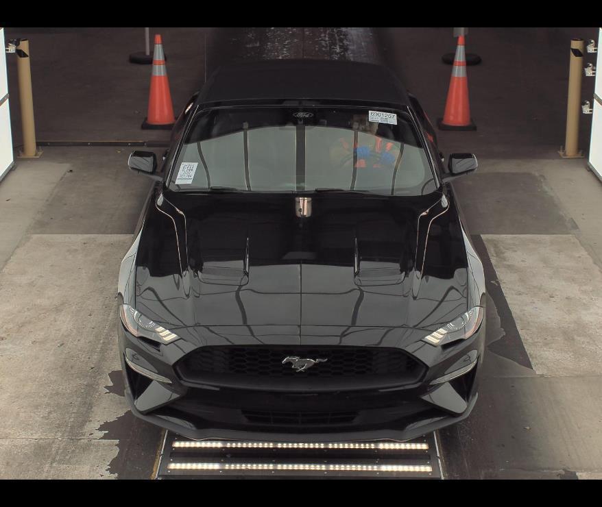 used 2022 Ford Mustang car, priced at $24,000