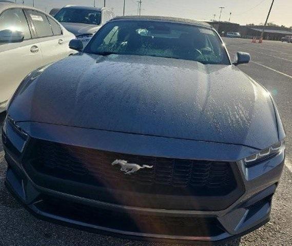 used 2024 Ford Mustang car, priced at $38,199