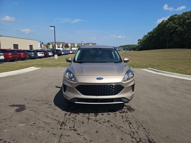 used 2020 Ford Escape car, priced at $14,000