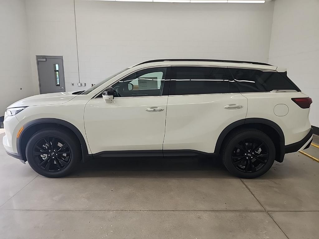 new 2025 INFINITI QX60 car, priced at $57,998