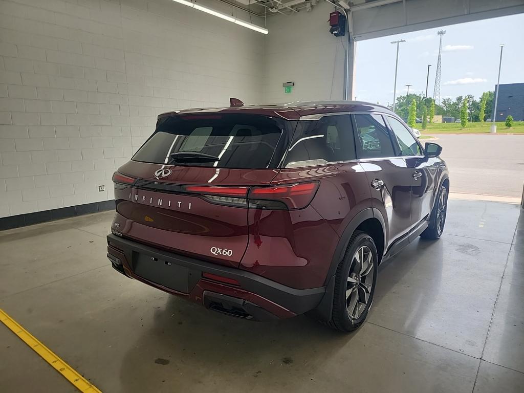 new 2025 INFINITI QX60 car, priced at $56,174