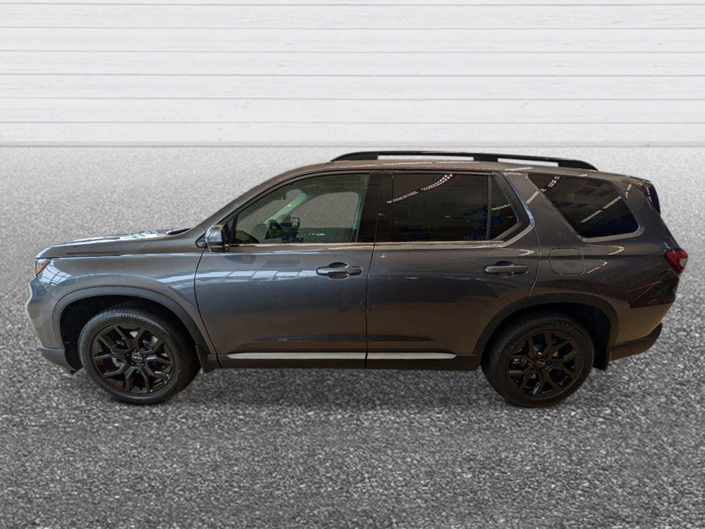new 2025 Honda Pilot car, priced at $52,651