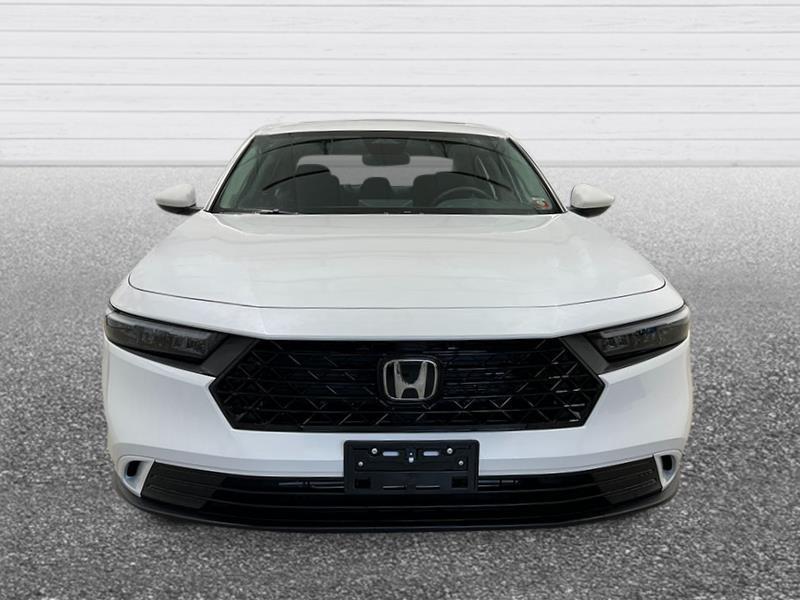 new 2024 Honda Accord car, priced at $30,031