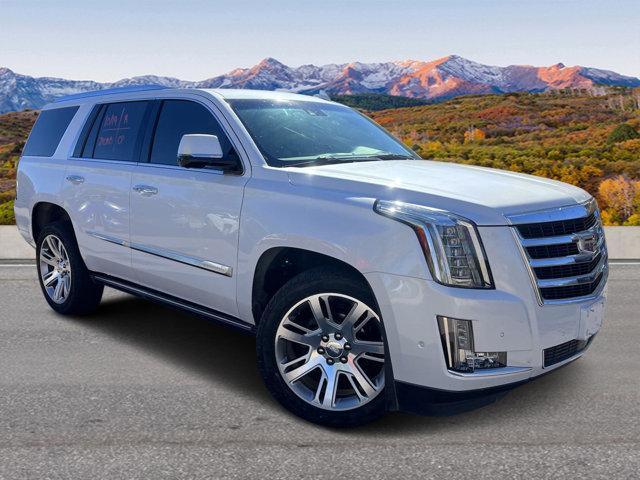 used 2020 Cadillac Escalade car, priced at $44,998