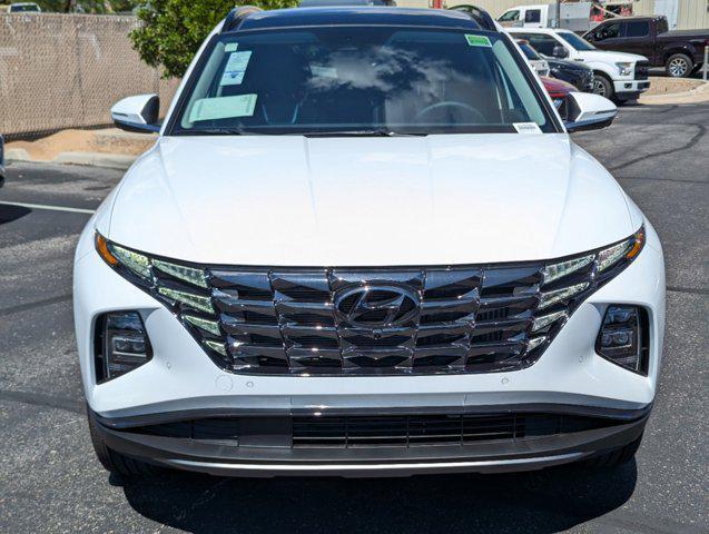 new 2024 Hyundai Tucson Hybrid car