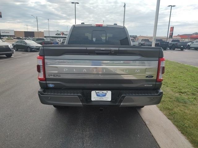 used 2023 Ford F-150 car