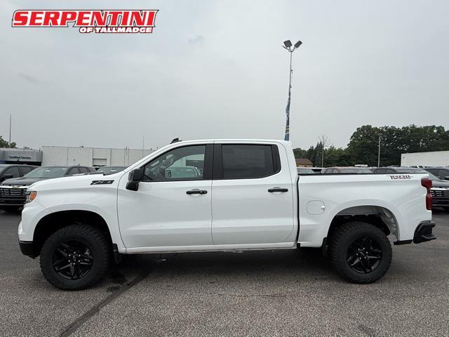 new 2024 Chevrolet Silverado 1500 car, priced at $48,846