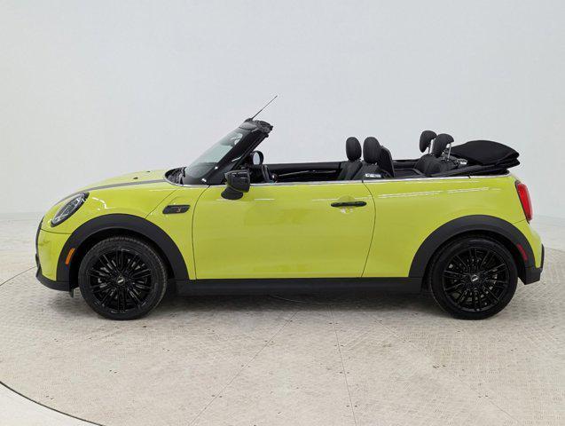 used 2024 MINI Convertible car, priced at $32,298